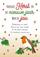 Wenskaart Voor deze kerst en het nieuwe jaar