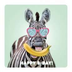 Lannoo Funny animals 10 3D wenskaart Happy b-day