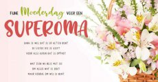 Moederdag artige 15 Wenskaart Fijne moederdag voor een superoma