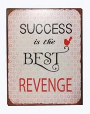 Tekstbord 306 Tekstbord: Succes is the best revenge... EM4338